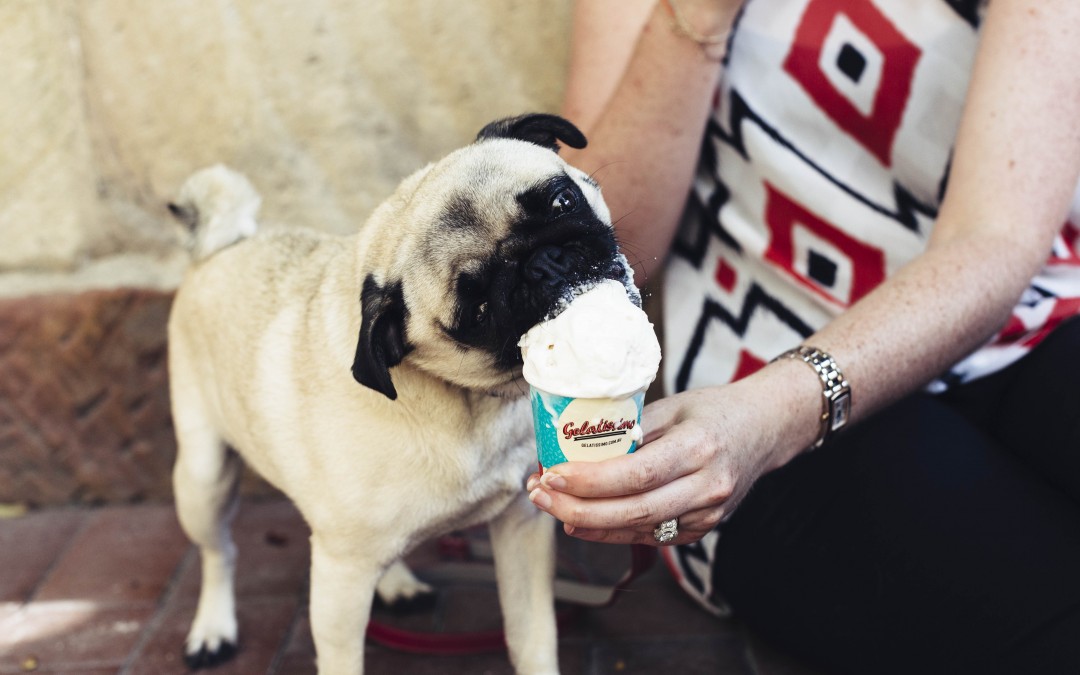 The pawfect treat for you and your doggie