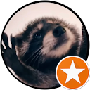 Adrian V Avatar