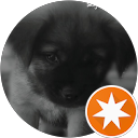 Max Nguyen Avatar